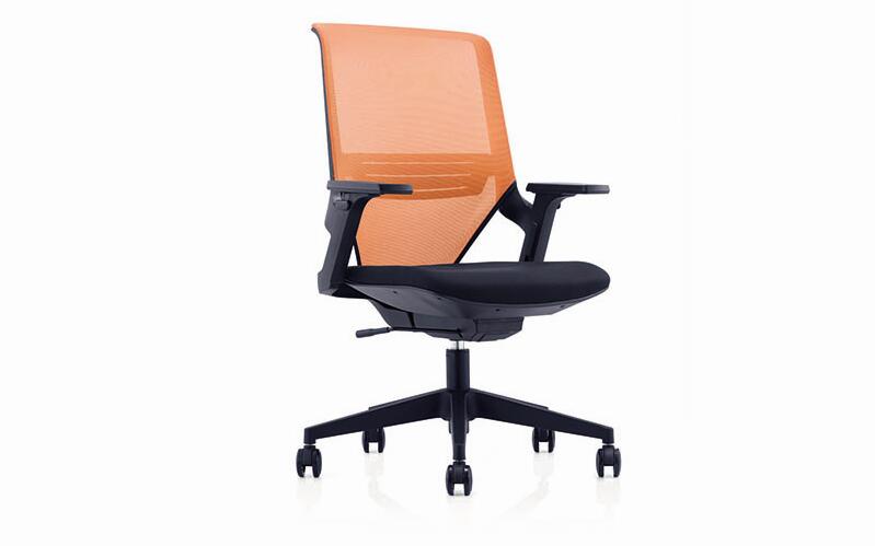 Loyd-劳埃德系列